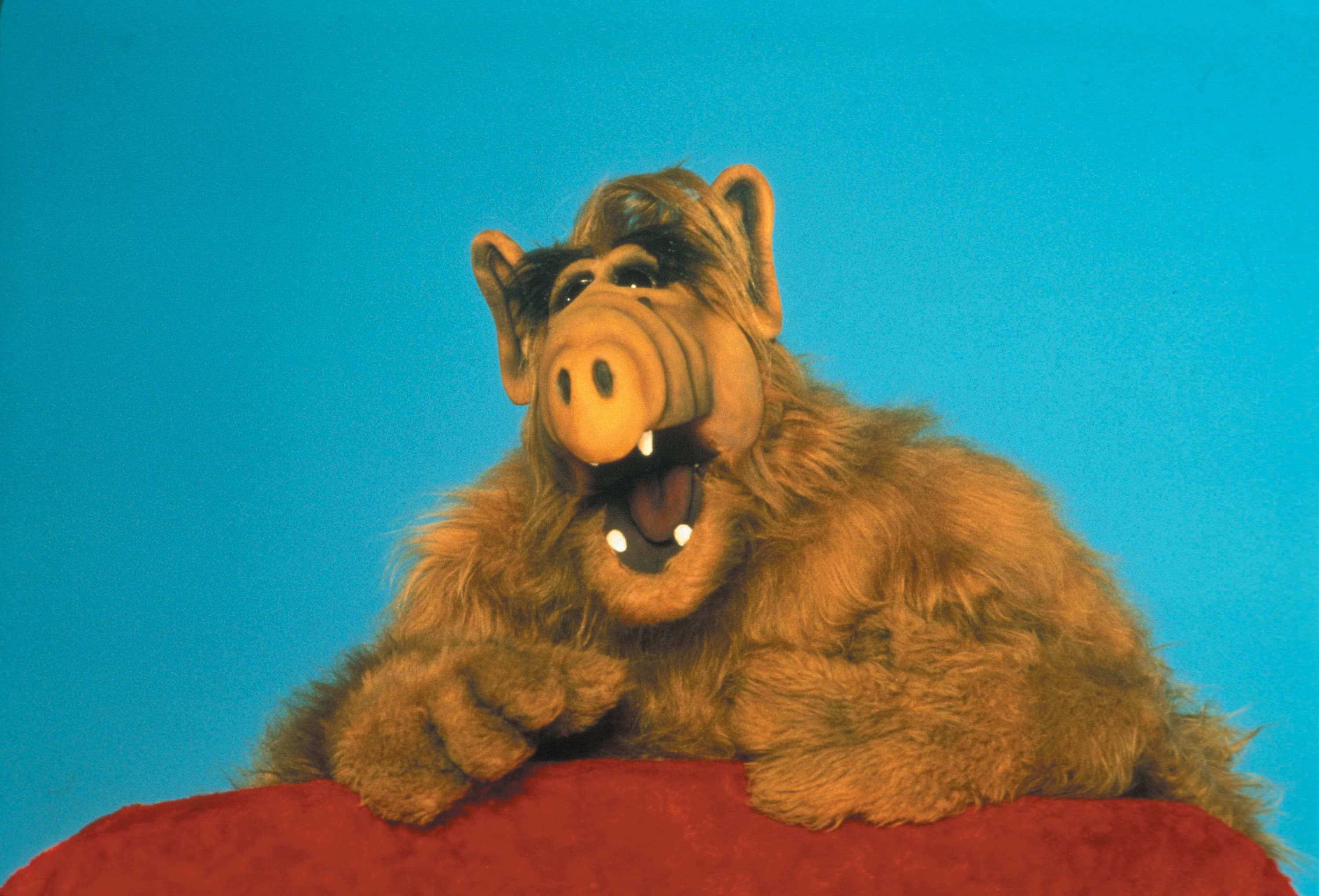 Alf, The Holiday, Merry Madagascar y mucho más te espera en Agile TV esta Navidad